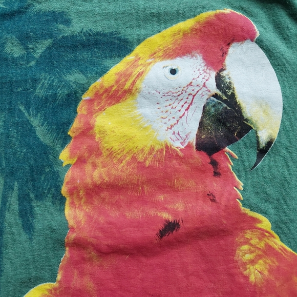 2016 ln / euc Next Direct 5-6 years - Picture 9 of 11